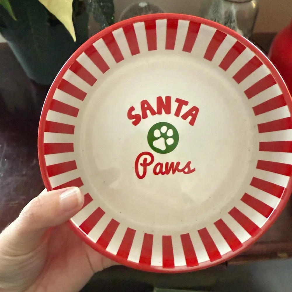 Santa Paws Striped Pet Bowl